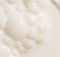 Bifidobacterium longum Blend