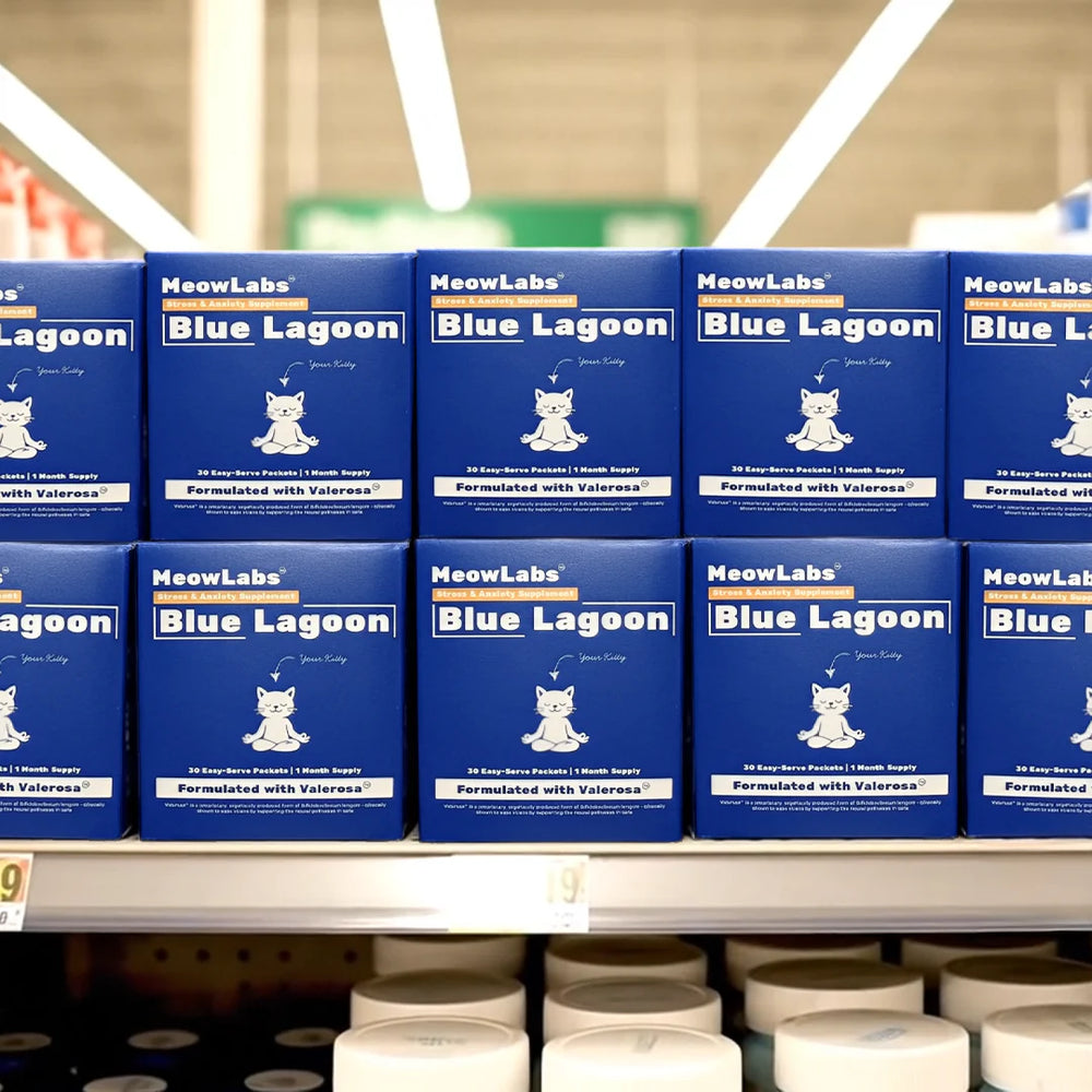 Blue Lagoon By MeowLabs™