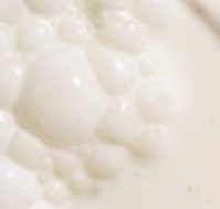 Bifidobacterium longum Blend